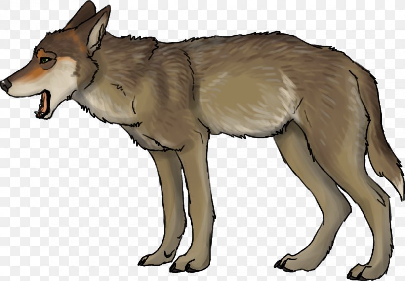 Saarloos Wolfdog Czechoslovakian Wolfdog Coyote Red Wolf, PNG, 1032x718px, Saarloos Wolfdog, Animal, Carnivoran, Coyote, Czechoslovakia Download Free