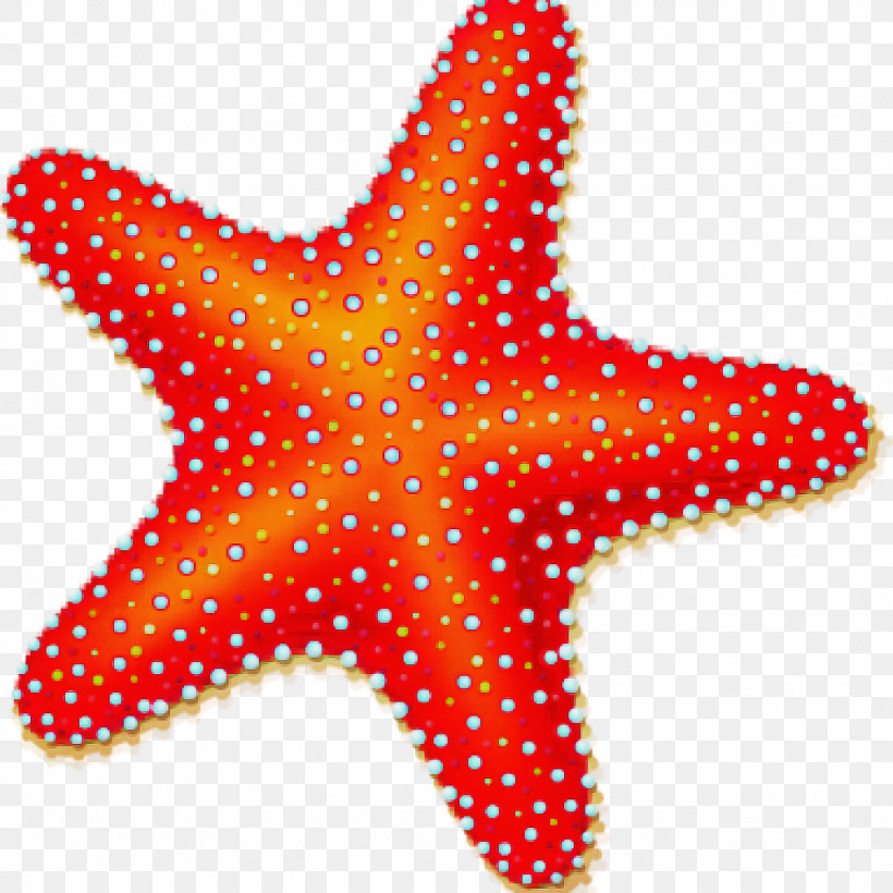 Starfish Blue Sea Star Printing Cuteness Pattern, PNG, 1024x1024px, Starfish, Blue Sea Star, Cuteness, Printing Download Free
