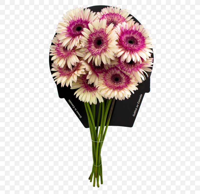 Transvaal Daisy Floral Design Cut Flowers Flower Bouquet, PNG, 500x795px, Transvaal Daisy, Chrysanthemum, Chrysanths, Cut Flowers, Daisy Family Download Free