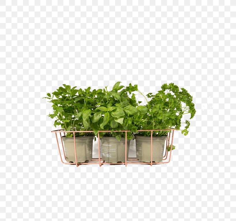 Flowerpot Herb Vase Vegetable, PNG, 720x769px, Flowerpot, Bouquet Garni, Clothing Accessories, Cut Flowers, Fines Herbes Download Free