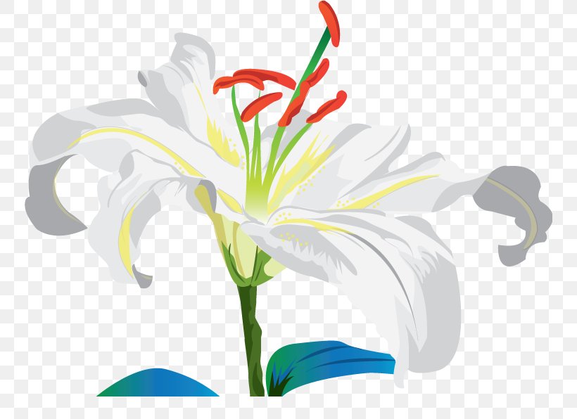 Jersey Lily Cut Flowers Belladonna Plant Stem Clip Art, PNG, 750x596px, Jersey Lily, Amaryllis, Amaryllis Belladonna, Belladonna, Cut Flowers Download Free