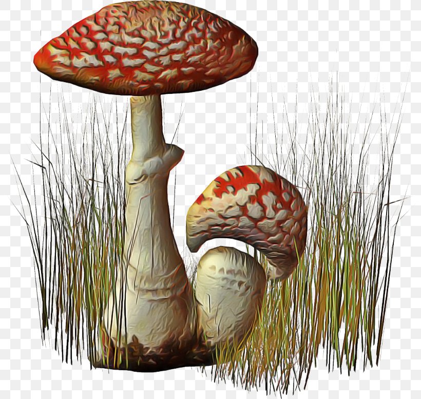 Mushroom Cartoon, PNG, 800x777px, Fungus, Agaric, Agaricaceae, Agaricomycetes, Agaricus Download Free