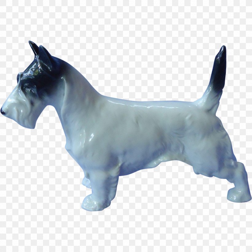 Scottish Terrier Cairn Terrier Wire Hair Fox Terrier American Staffordshire Terrier Staffordshire Bull Terrier, PNG, 1772x1772px, Scottish Terrier, American Staffordshire Terrier, Breed, Cairn Terrier, Carnivoran Download Free