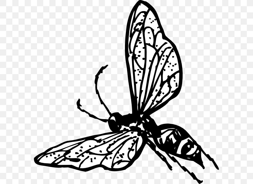 Hornet Bee Wasp Clip Art, PNG, 600x596px, Hornet, Arthropod, Artwork, Bee, Black And White Download Free