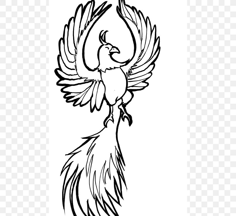 Phoenix Drawing Firebird Line Art Clip Art, PNG, 480x750px, Watercolor, Cartoon, Flower, Frame, Heart Download Free