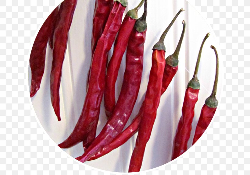 Bird's Eye Chili Piquillo Pepper Chile De árbol Tabasco Pepper Cayenne Pepper, PNG, 654x575px, Piquillo Pepper, Bell Peppers And Chili Peppers, Business, Capsicum, Capsicum Annuum Download Free