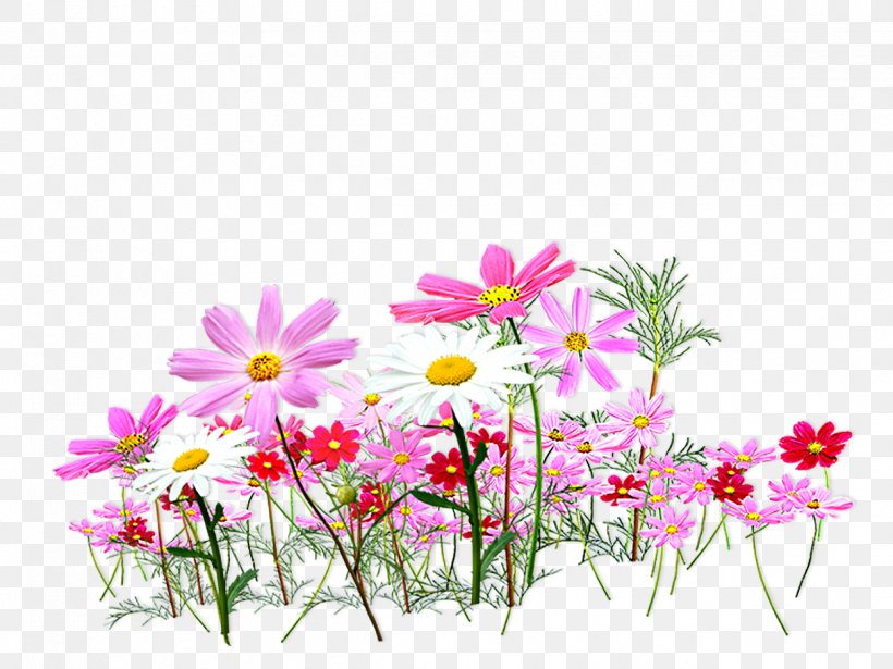 Cut Flowers Color Clip Art, PNG, 1248x936px, Flower, Annual Plant, Blossom, Blue, Color Download Free