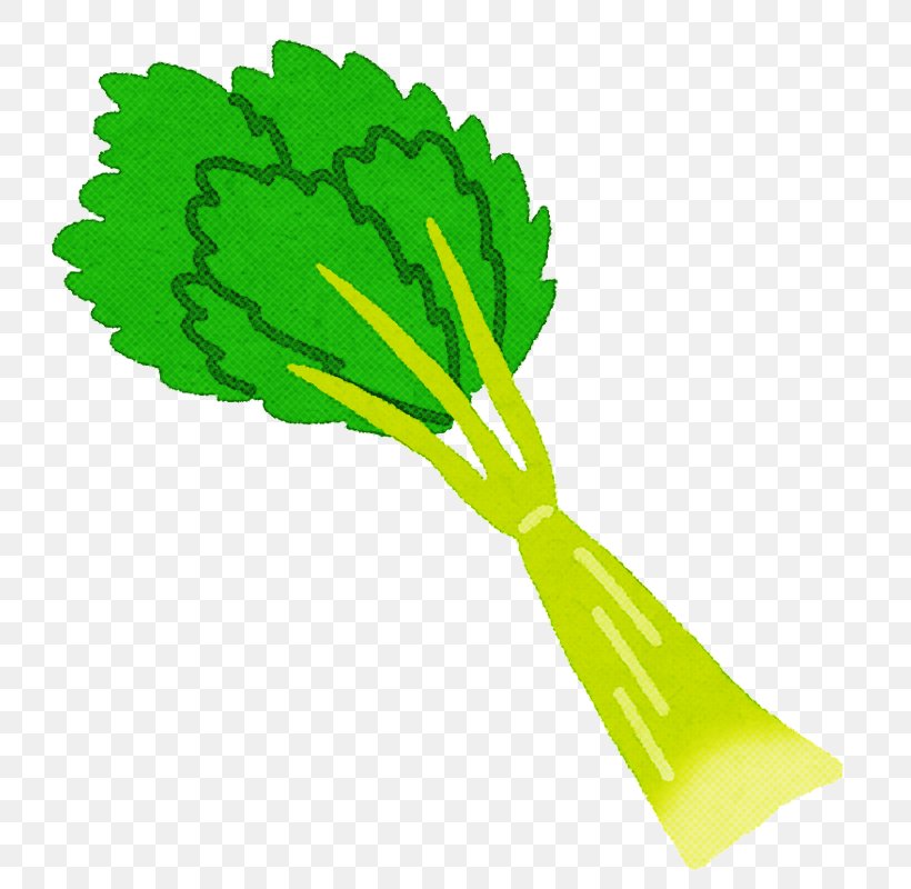 Green Vegetable Plant Leaf Vegetable, PNG, 772x800px, Green, Leaf Vegetable, Plant, Vegetable Download Free