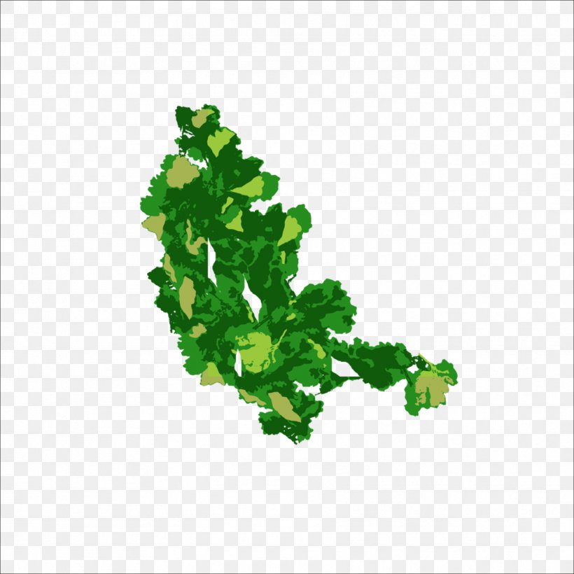 Leaf Green Condiment, PNG, 1773x1773px, Leaf, Condiment, Data, Data Compression, Flavor Download Free