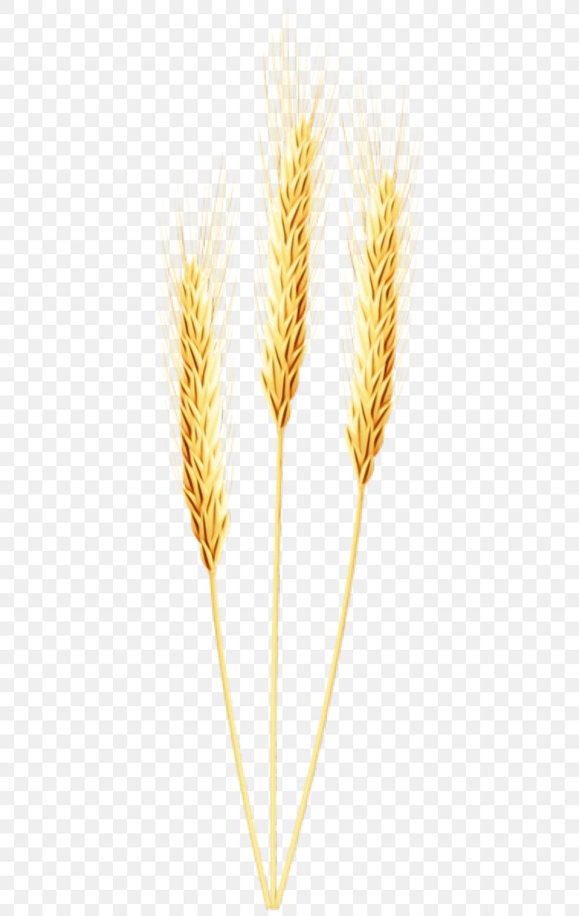 Wheat Cartoon, PNG, 400x1297px, Barley, Cereal, Cereal Germ, Durum, Einkorn Wheat Download Free