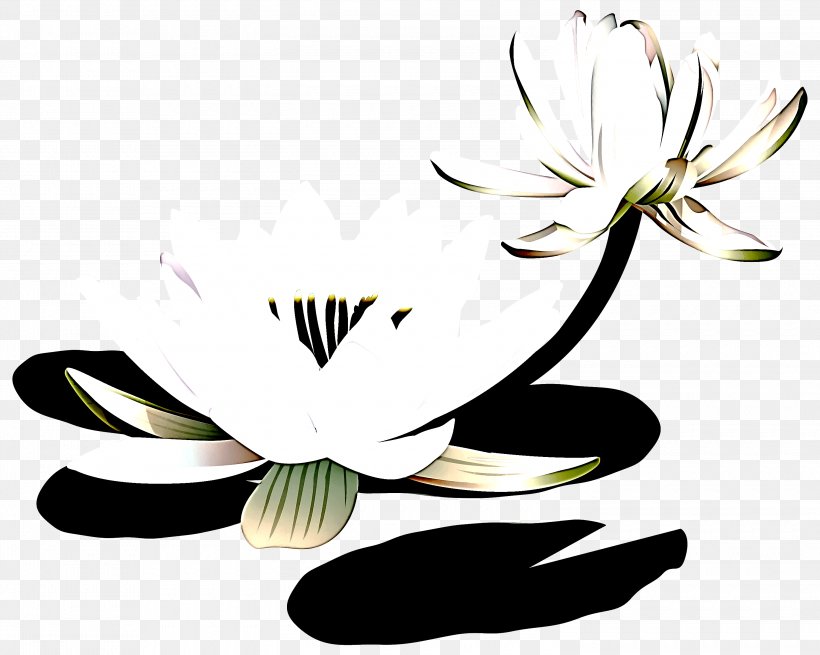 Flower Plant Petal Clip Art Leaf, PNG, 3000x2398px, Flower, Aquatic Plant, Blackandwhite, Flowering Plant, Leaf Download Free