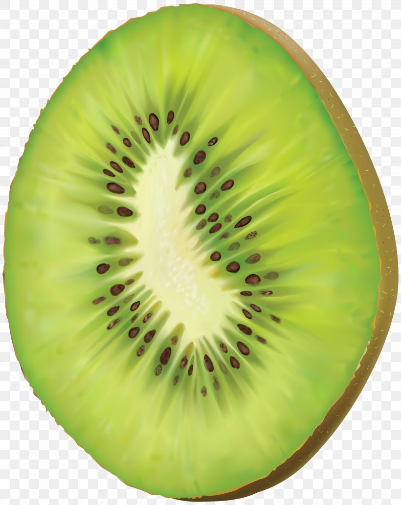 Kiwifruit Clip Art, PNG, 3969x5000px, Kiwifruit, Bird, Food, Fruit, Kiwi Download Free