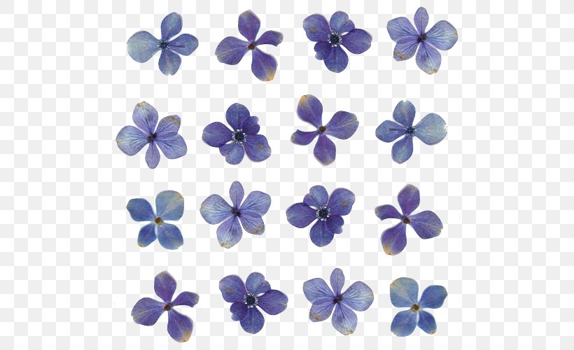 Pressed Flower Craft Light Floral Design, PNG, 500x500px, Flower, Blue, Cobalt Blue, Floral Design, Floral Symmetry Download Free