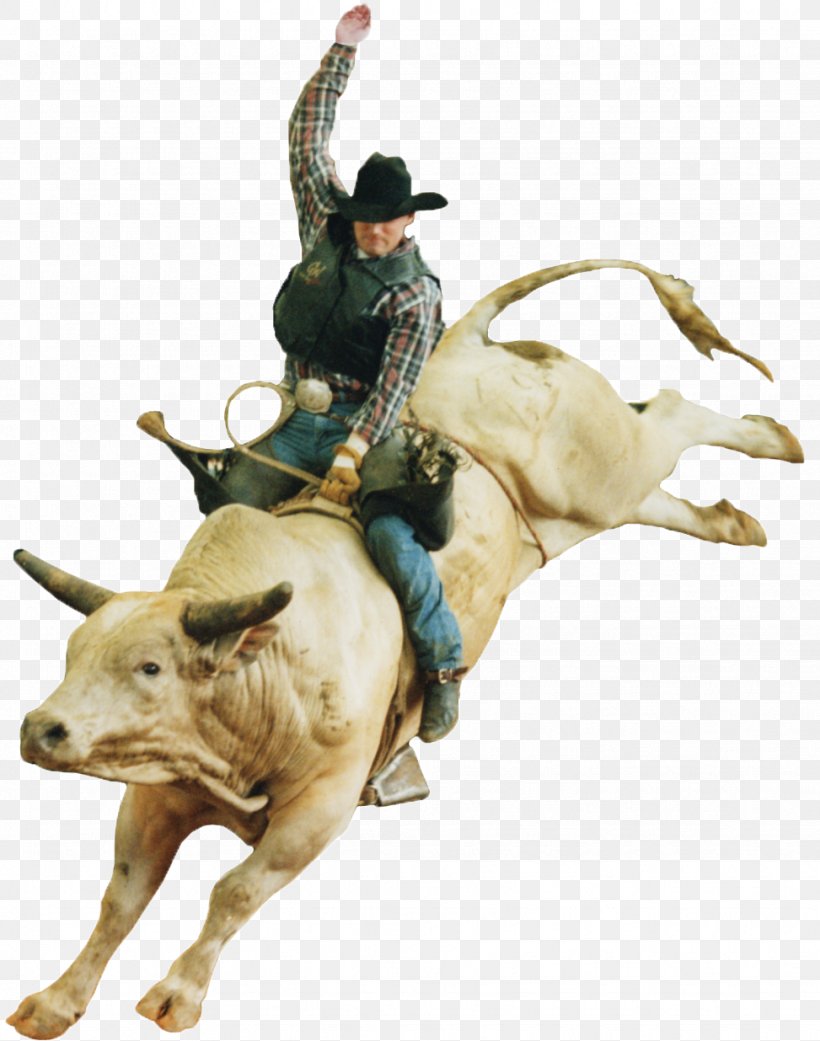 Calf Roping Professional Rodeo Cowboys Association Bull Riding Professional Rodeo Cowboys Association, PNG, 973x1236px, Calf Roping, Bronc Riding, Bucking, Bull, Bull Riding Download Free
