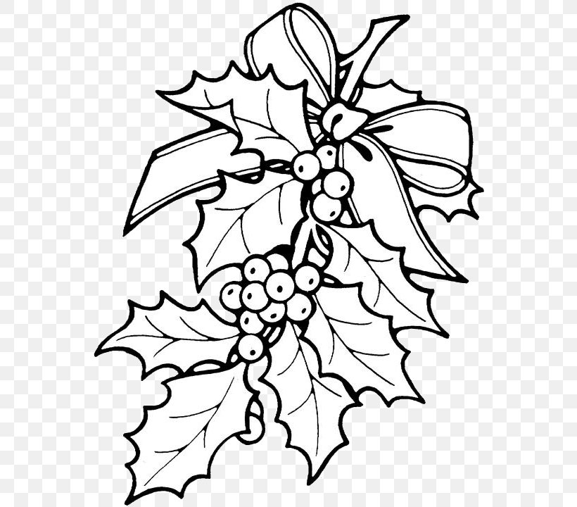 Coloring Book Christmas Ornament Mandala Gift, PNG, 560x720px, Coloring Book, Adult, Artwork, Black And White, Branch Download Free