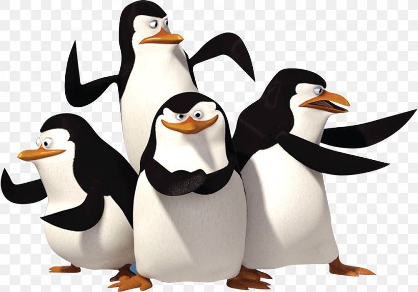 Penguin Madagascar DreamWorks Spin-off Film, PNG, 987x691px, Penguin, Animation, Beak, Bird, Dreamworks Download Free