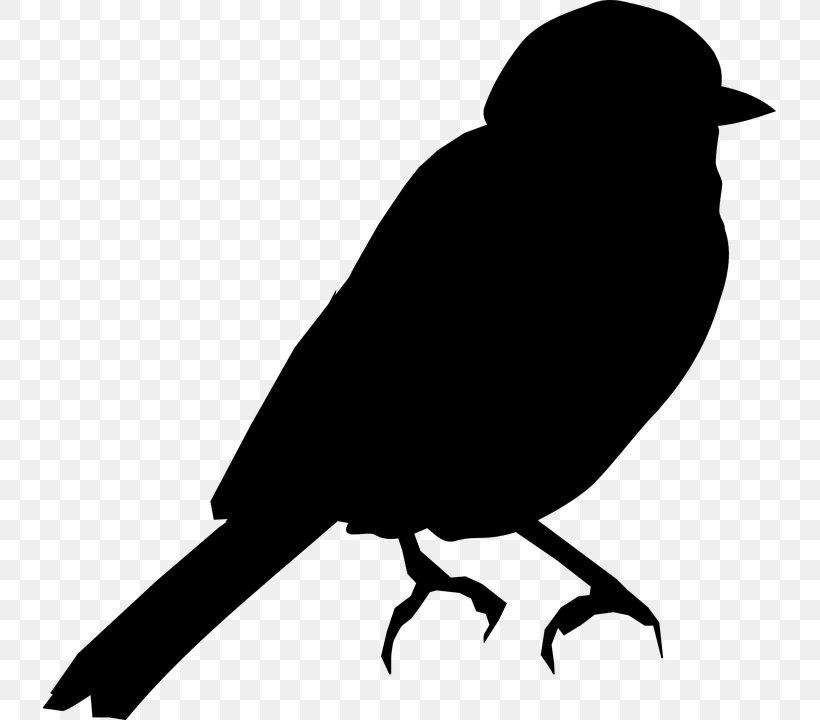 Bird Silhouette Clip Art Illustration Swallow, PNG, 733x720px, Bird, Art, Beak, Blackbird, Common Blackbird Download Free