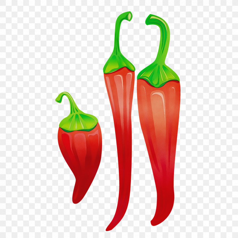 Chili Pepper Tabasco Pepper Malagueta Pepper Vegetable Serrano Pepper, PNG, 1200x1200px, Watercolor, Chili Pepper, Malagueta Pepper, Paint, Paprika Download Free