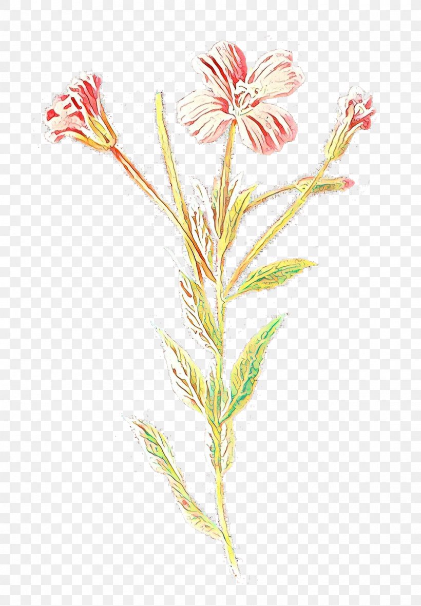 Clip Art Drawing Botanical Illustration Plants, PNG, 1110x1600px, Drawing, Borders Clip Art, Botanical Illustration, Botany, Cartoon Download Free