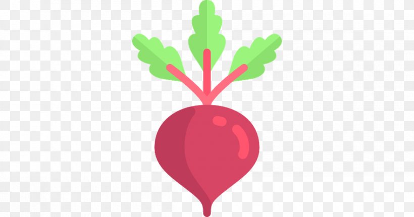 Clip Art Vegetable, PNG, 1200x630px, Vegetable, Beet, Beetroot, Beetroots, Botany Download Free