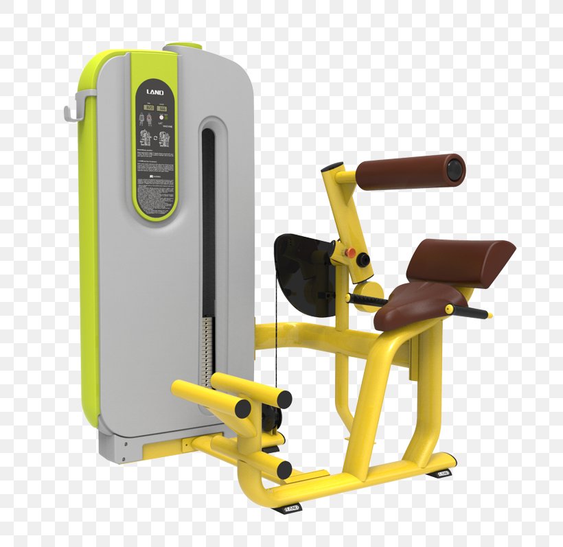 Fitness Centre Exercise Equipment Weight Training Strength Training, PNG, 800x797px, Fitness Centre, Bodybuilding, Exercise, Exercise Equipment, Exercise Machine Download Free