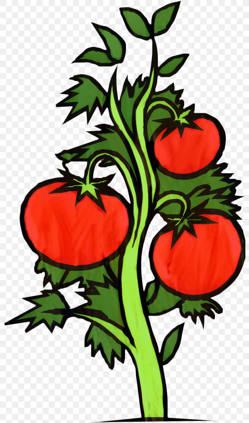 Leaf Drawing, PNG, 796x1390px, Cherry Tomato, Aubergines, Bell Pepper, Drawing, Flower Download Free