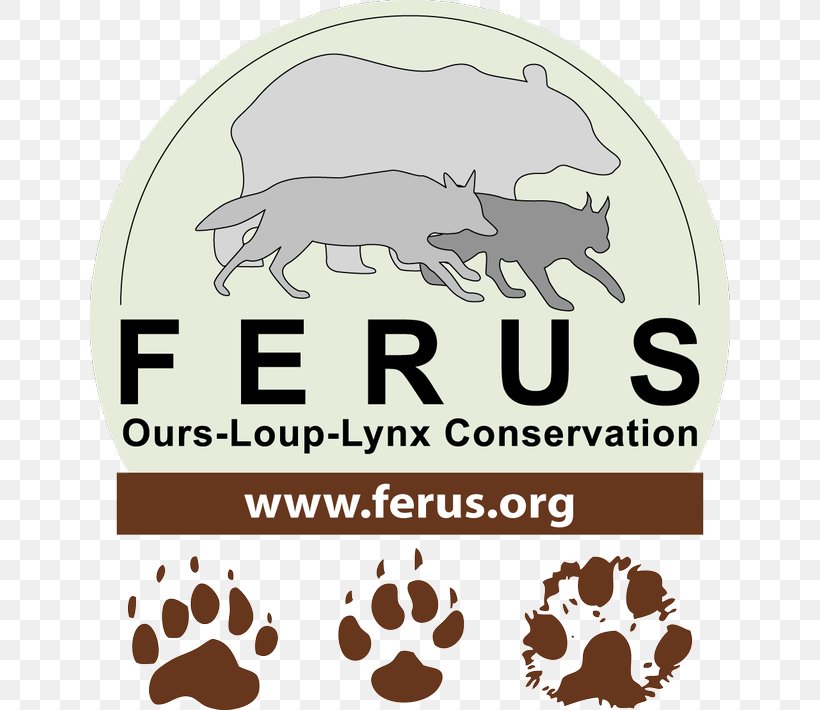 Les Droits De L'animal Logo France Gray Wolf Font, PNG, 640x710px, Logo, Brand, Carnivoran, Carnivores, France Download Free