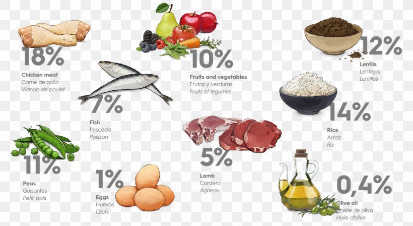 MINI Cooper Diet Food Nutrition Dieting, PNG, 1237x676px, Mini Cooper, Appetite, Brand, Chicken As Food, Diet Download Free
