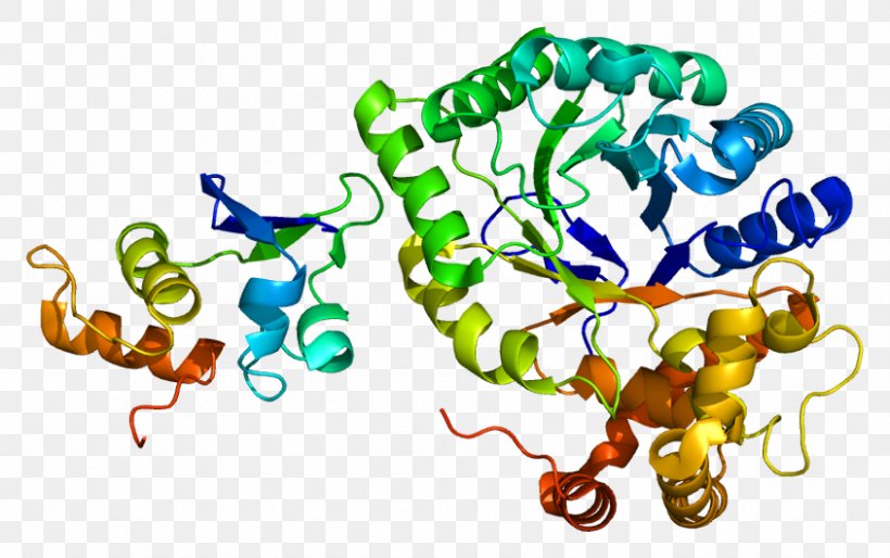 Voltage-gated Potassium Channel KCNAB2 Protein Structure, PNG, 845x530px, Watercolor, Cartoon, Flower, Frame, Heart Download Free