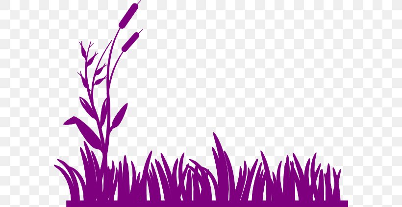 Wetland Swamp Clip Art, PNG, 600x424px, Wetland, Cattail, Color, Document, Graphic Arts Download Free