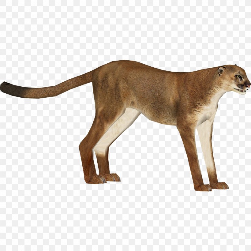 Zoo Tycoon 2 Felidae Cougar Cheetah Lion, PNG, 1065x1065px, Zoo Tycoon 2, American Cheetah, Animal, Animal Figure, Austroraptor Download Free