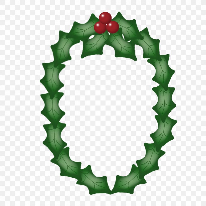 Aquifoliales Pine Family Christmas Ornament Christmas Day, PNG, 1200x1200px, Aquifoliales, Bicycle Part, Christmas Day, Christmas Ornament, Holly Download Free