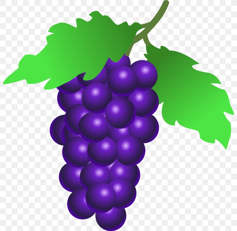 Common Grape Vine Wine Clip Art, PNG, 800x798px, Common Grape Vine, Flowering Plant, Food, Fruit, Frutti Di Bosco Download Free