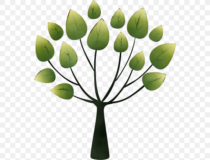 Design Tree Schopp Nutrition And Chiropractic Clinic Alamy, PNG, 555x627px, Watercolor, Alamy, Branch, Bud, Flower Download Free