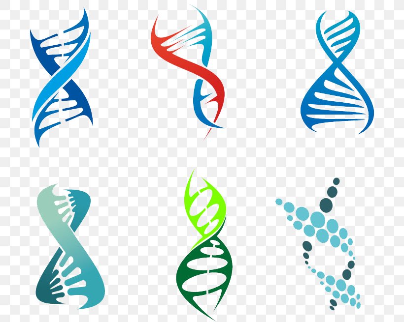 DNA Vector Genetics Royalty-free, PNG, 698x655px, Dna, Area, Artwork, Chromosome, Genetics Download Free