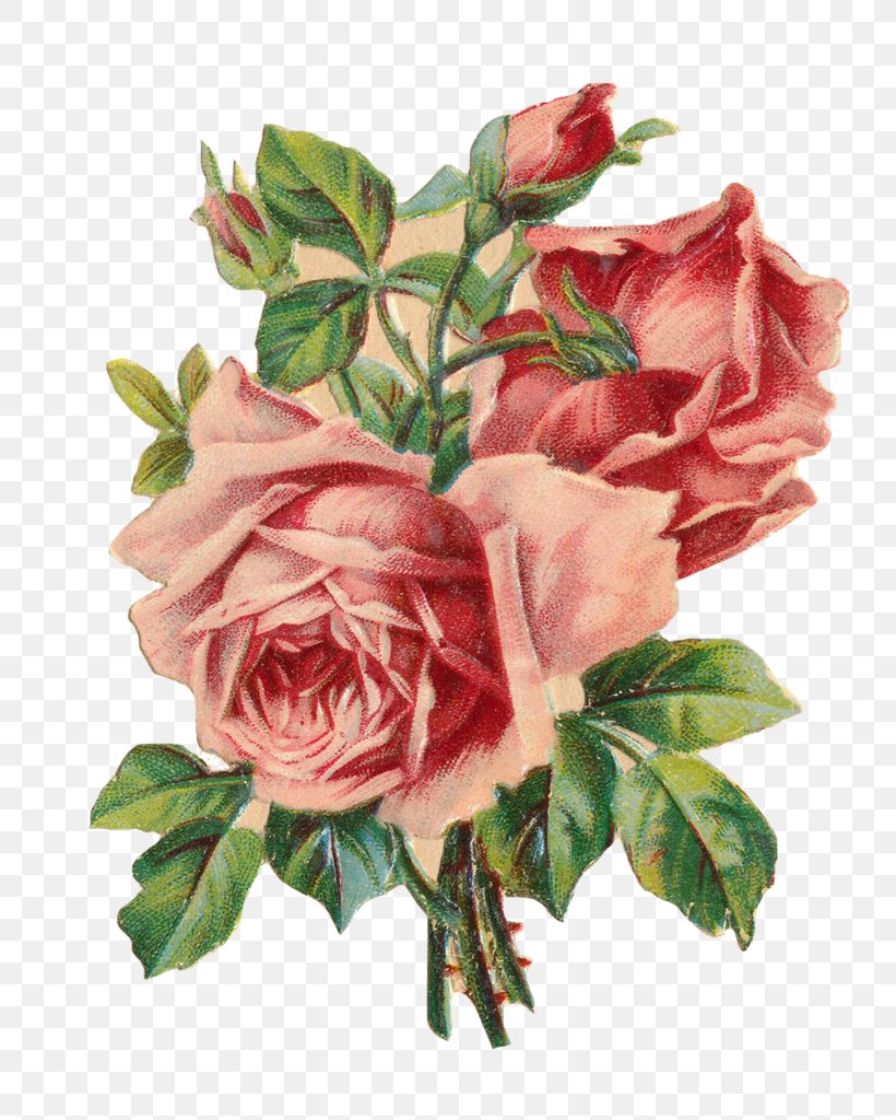 Garden Roses Floral Design Picture Frames, PNG, 782x1024px, Garden Roses, Artificial Flower, Basket, Cabbage Rose, Cut Flowers Download Free