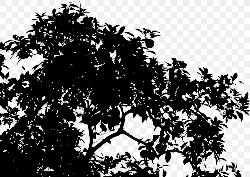 Silhouette Leaf Sky, PNG, 1666x1181px, Silhouette, Blackandwhite, Botany, Branch, Flower Download Free