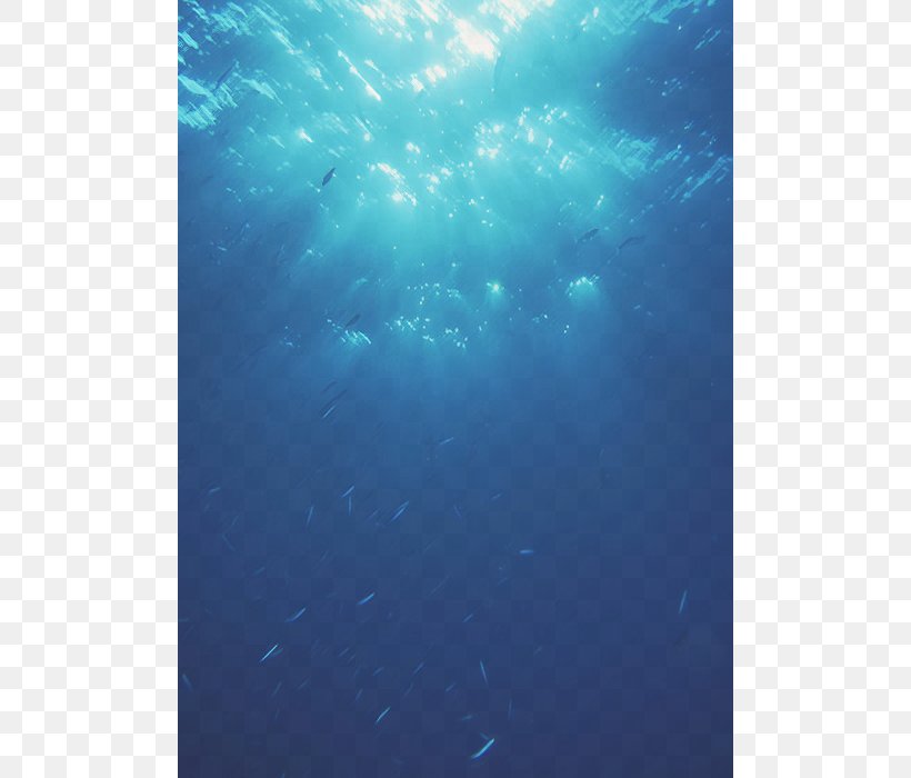 Underwater Marine Biology Ocean Marine Mammal, PNG, 500x700px, Underwater, Aqua, Biology, Fish, Mammal Download Free