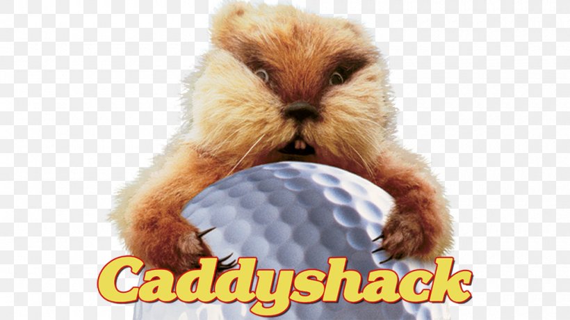 Where The Wild Things Are Caddyshack Art Pillow Gopher, PNG, 1000x562px, Where The Wild Things Are, Art, Caddyshack, Canvas, Fur Download Free