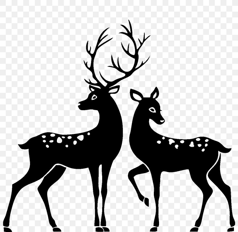 White-tailed Deer Reindeer Roe Deer Clip Art, PNG, 800x800px, Deer, Antler, Black And White, Drawing, Elk Download Free