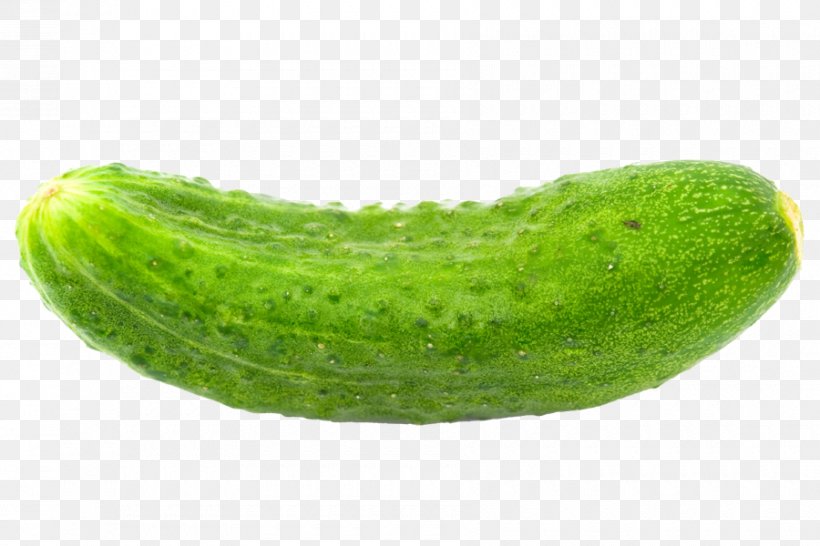 Cucumber Food Mixed Vegetable Soup High-definition Television, PNG, 900x600px, Cucumber, Cucumber Gourd And Melon Family, Cucumis, Food, Full Hd Download Free