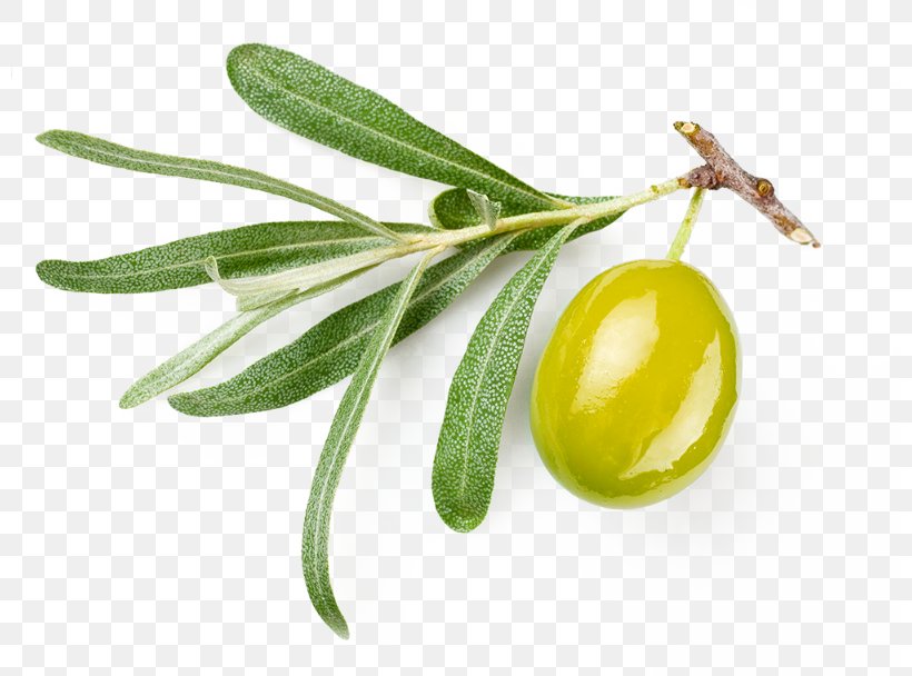 Olive Oil Wheat Germ Oil Seed Oil, PNG, 800x608px, Olive, Cooking, Food, Fruit, Frying Download Free