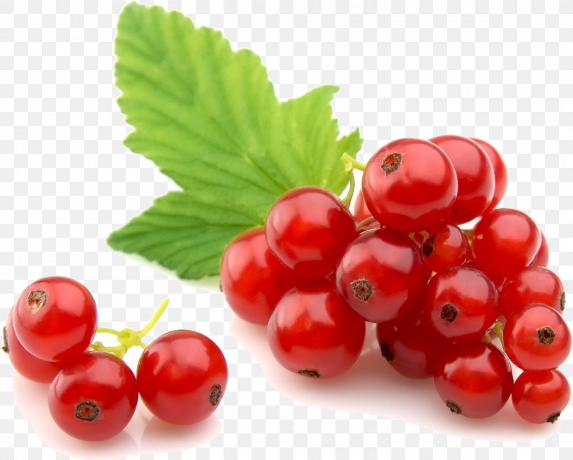 Redcurrant Stock Photography Berries Royalty-free Fruit, PNG, 1548x1243px, Redcurrant, Berries, Berry, Blackcurrant, Cherry Download Free