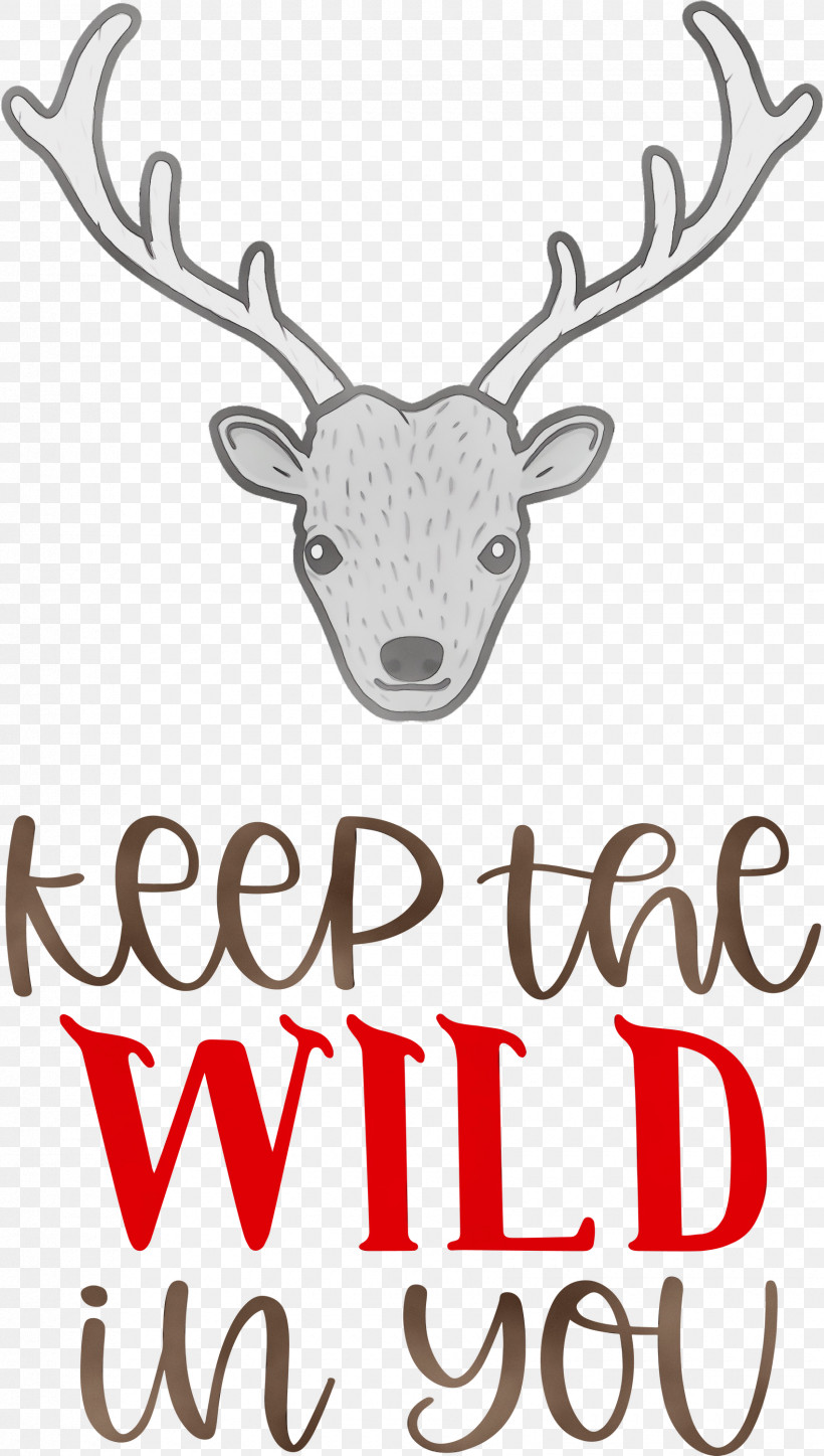 Reindeer, PNG, 1700x3000px, Keep Wild, Antler, Biology, Deer, Meter Download Free