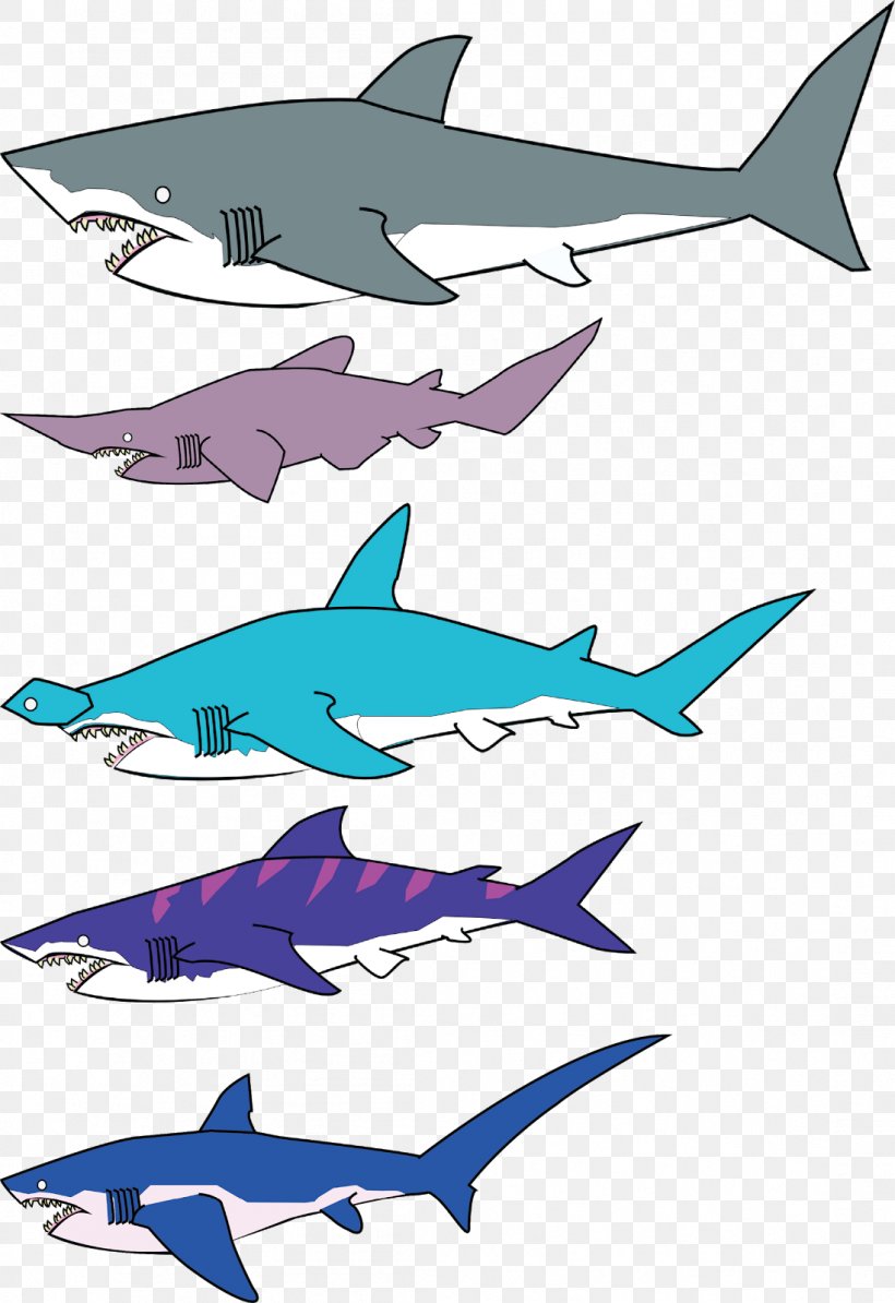 Squaliformes Thresher Shark Tiger Shark Shark Attack Dolphin, PNG, 1098x1600px, Squaliformes, Animal, Carcharhinus Amblyrhynchos, Cartilaginous Fish, Cetacea Download Free