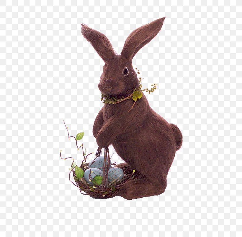 Domestic Rabbit Easter Bunny Hare, PNG, 600x800px, Domestic Rabbit, Easter, Easter Bunny, Hare, Rabbit Download Free