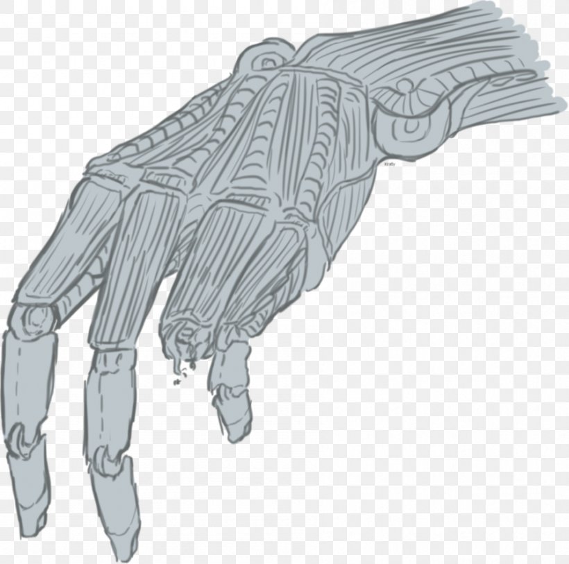 Finger Line Art Angle, PNG, 897x890px, Finger, Arm, Drawing, Glove, Hand Download Free