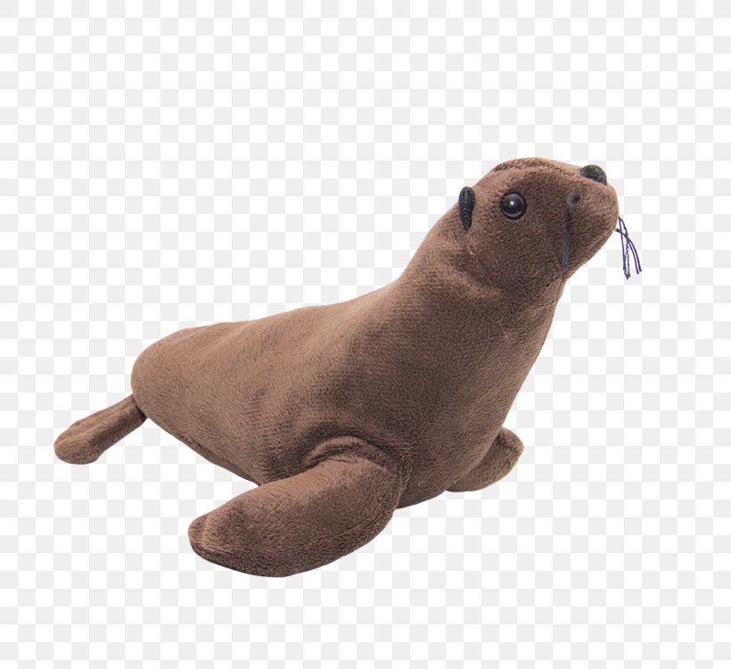 Sea Lion Harbor Seal Pinniped Terrestrial Animal, PNG, 750x750px, Sea Lion, Animal, Animal Figure, Fauna, Harbor Seal Download Free