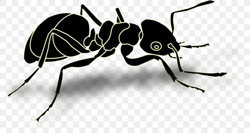 Ant Insect Clip Art, PNG, 1280x685px, Ant, Arthropod, Black And White, Eusociality, Fly Download Free