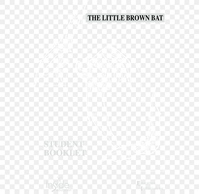 Logo Document Line Angle, PNG, 539x800px, Logo, Brand, Document, Paper, Text Download Free